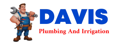 Trusted plumber in PATCH GROVE